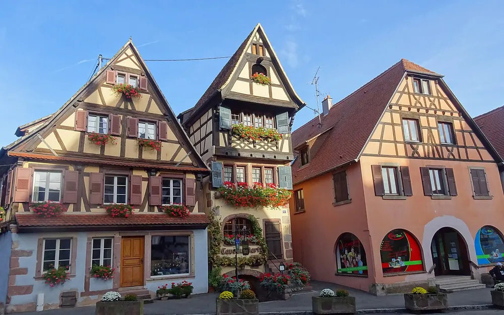 Dambach-la-Ville (67650) — commune desservie par notre entreprise punaise de lit