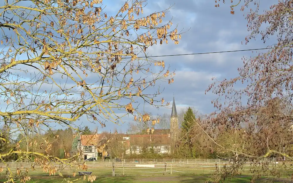 Eckbolsheim (67201) — commune desservie par notre entreprise punaise de lit