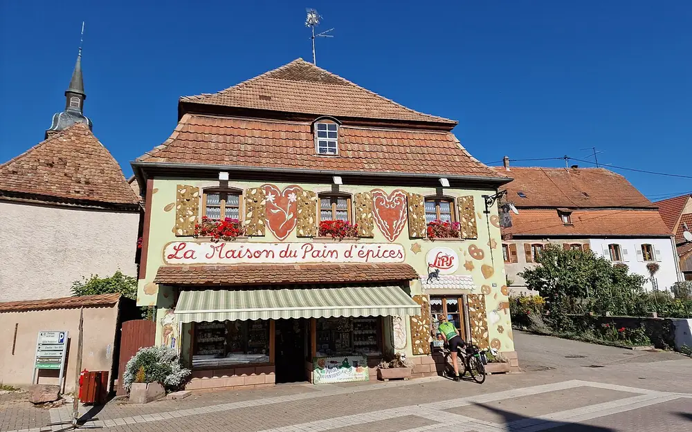 Gertwiller (67140) — commune desservie par notre entreprise punaise de lit
