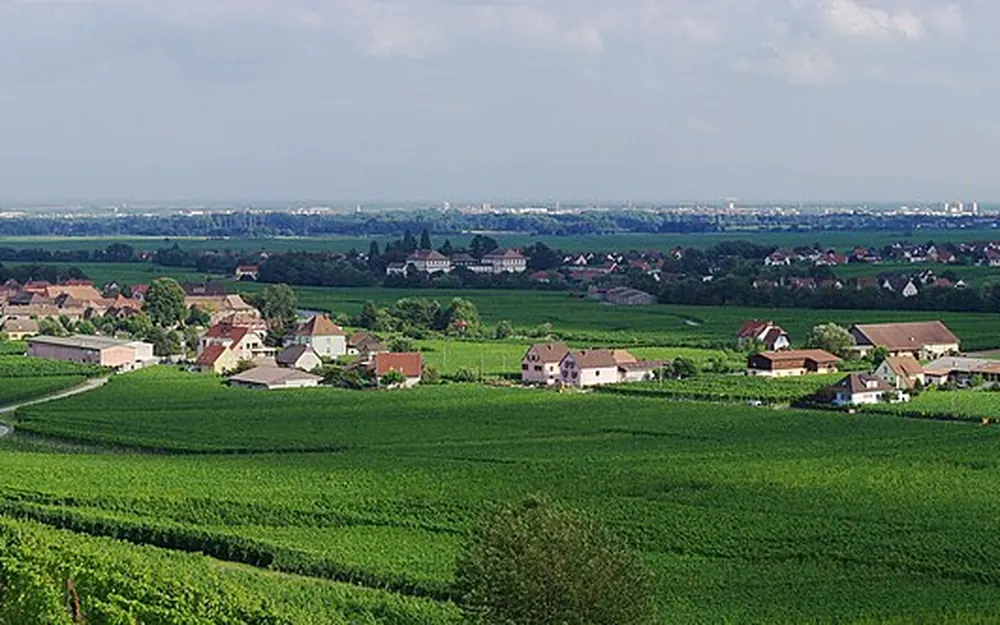 Kaysersberg-Vignoble (68240) — commune desservie par notre entreprise punaise de lit
