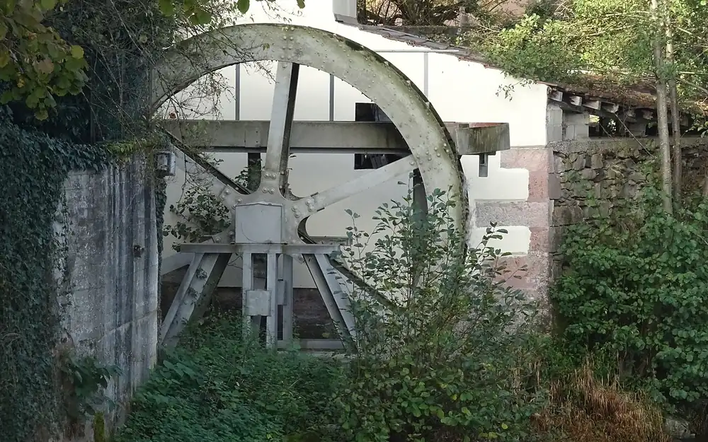 Masevaux-Niederbruck (68290) — commune desservie par notre entreprise punaise de lit