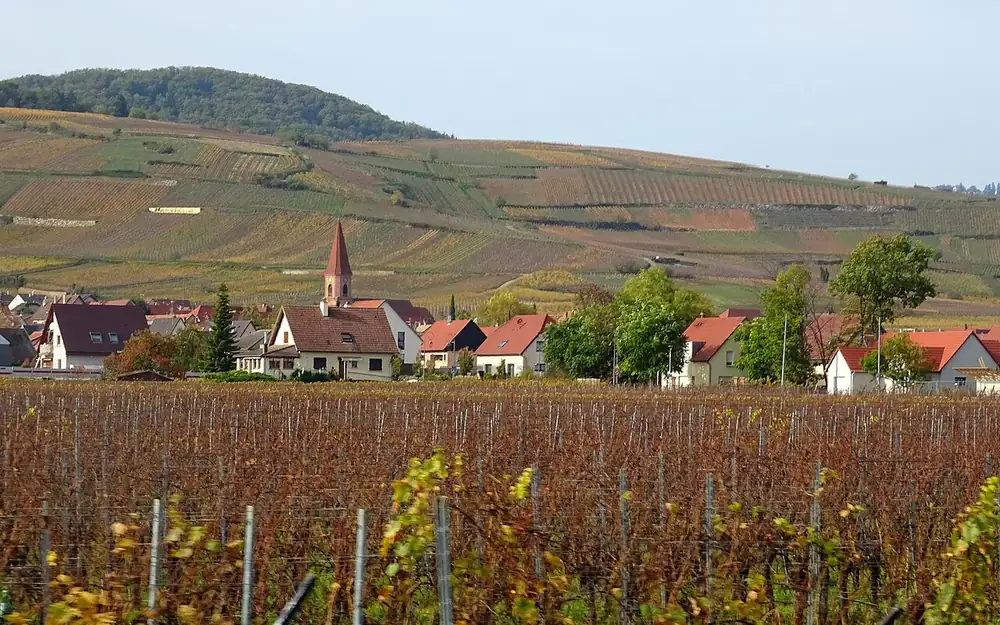 Wettolsheim (68920) — commune desservie par notre entreprise punaise de lit